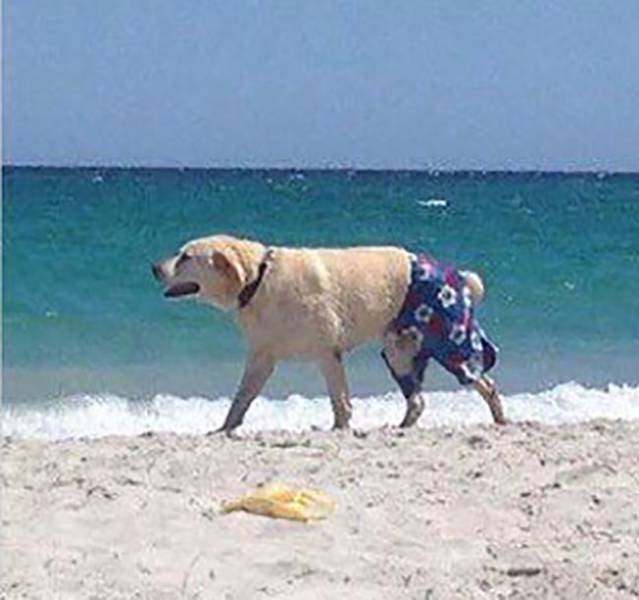 morning picdump 51 pics 3.html - 51 HD Photos | Premium Gallery 2017