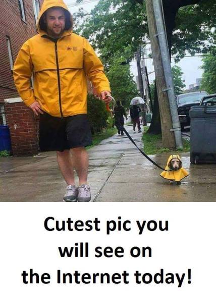 morning picdump 51 pics 3.html - 51 HD Photos | Premium Gallery 2017