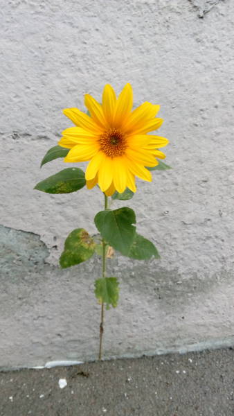 Daily Picdump [WEEKEND EDITION]