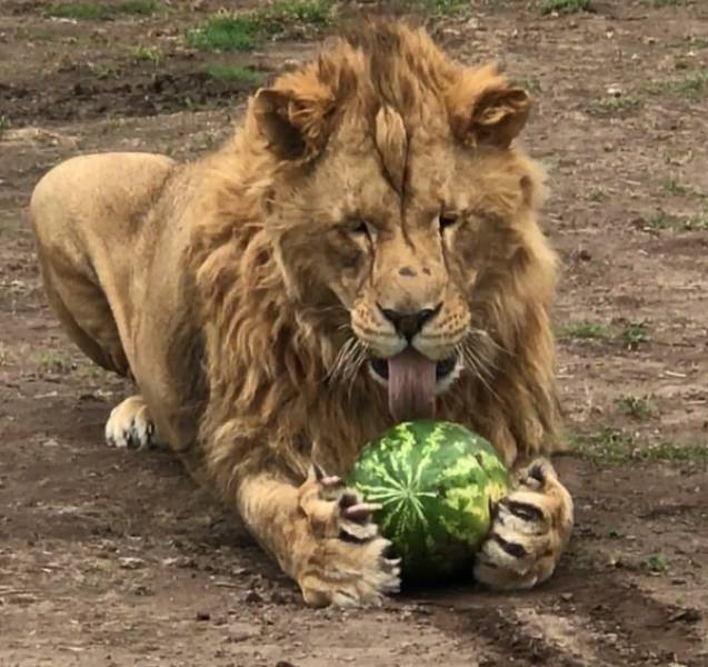 Daily Picdump [WEEKEND EDITION]