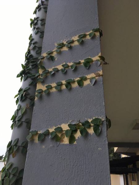 daily picdump weekend edition 54 pics 18.html - 54 HD Photos | Premium Gallery 2017