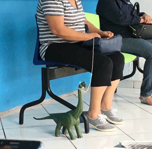 daily picdump weekend edition 54 pics 18.html - 54 HD Photos | Premium Gallery 2017