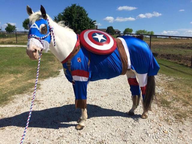 daily picdump weekend edition 54 pics 18.html - 54 HD Photos | Premium Gallery 2017