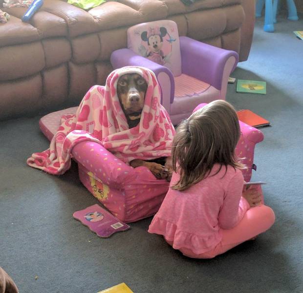 daily picdump weekend edition 54 pics 18.html - 54 HD Photos | Premium Gallery 2017