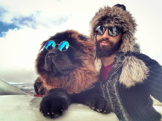 daily picdump weekend edition 54 pics 18.html - 54 HD Photos | Premium Gallery 2017