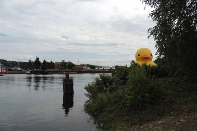 daily picdump weekend edition 54 pics 18.html - 54 HD Photos | Premium Gallery 2017