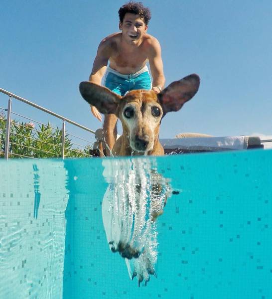 daily picdump 96 pics 4.html - 96 HD Photos | Premium Gallery 2017