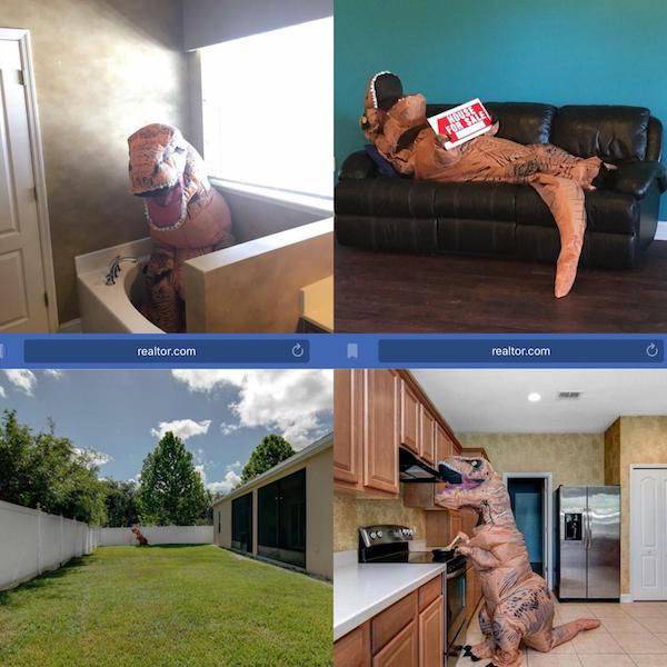 daily picdump 96 pics 4.html - 96 HD Photos | Premium Gallery 2017