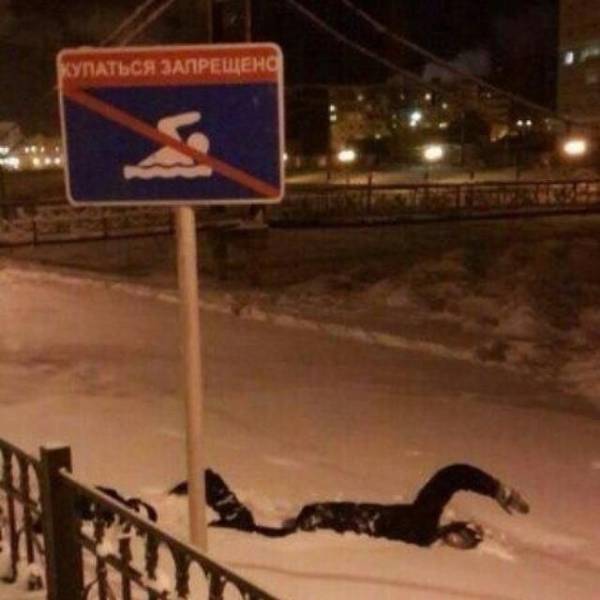 daily picdump 96 pics 4.html - 96 HD Photos | Premium Gallery 2017