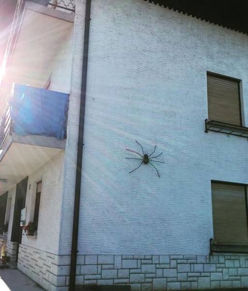 daily picdump 96 pics 4.html - 96 HD Photos | Premium Gallery 2017