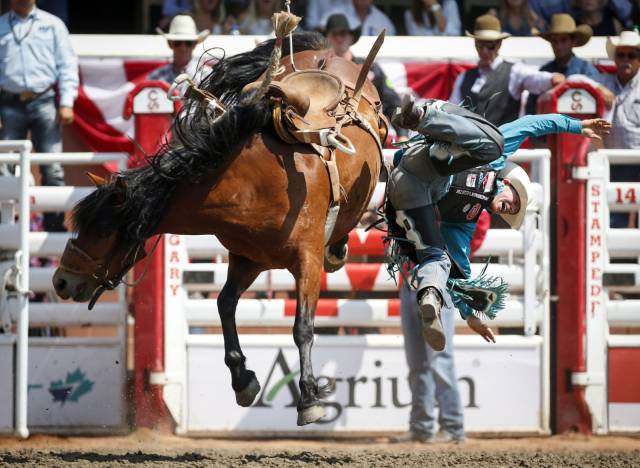 daily picdump 96 pics 4.html - 96 HD Photos | Premium Gallery 2017