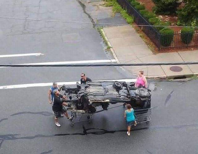 daily picdump 96 pics 4.html - 96 HD Photos | Premium Gallery 2017