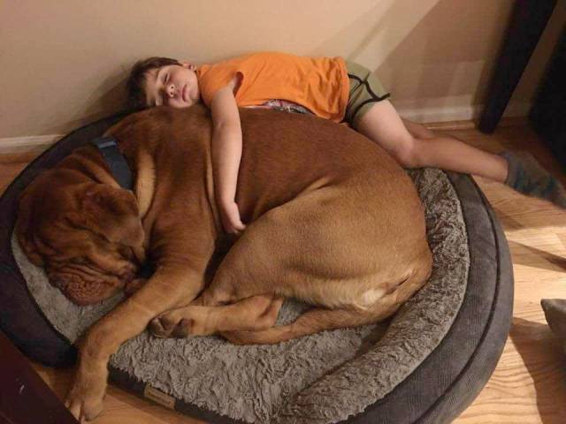 daily picdump 96 pics 4.html - 96 HD Photos | Premium Gallery 2017