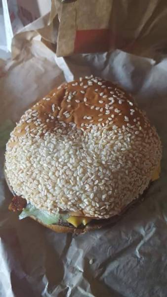 daily picdump 96 pics 4.html - 96 HD Photos | Premium Gallery 2017