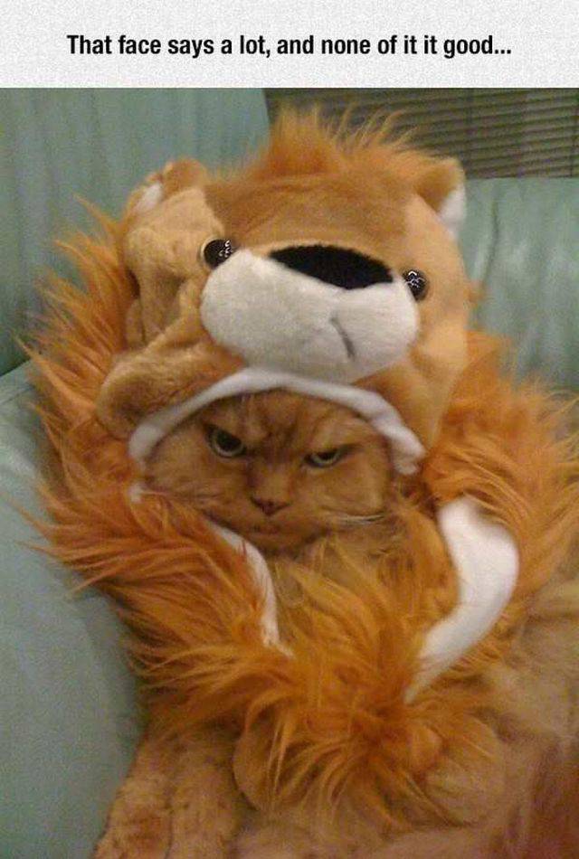 daily picdump 96 pics 4.html - 96 HD Photos | Premium Gallery 2017