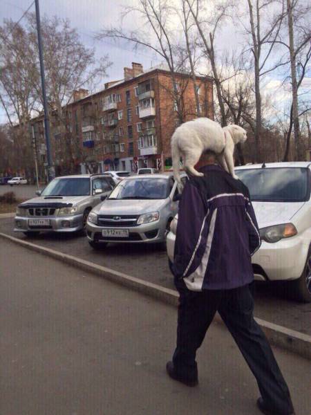 daily picdump 95 pics 12.html - 95 HD Photos | Premium Gallery 2017