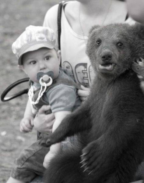 daily picdump 95 pics 12.html - 95 HD Photos | Premium Gallery 2017