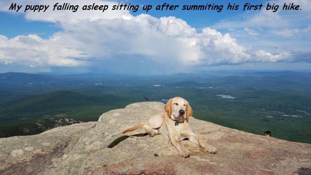 daily picdump 95 pics 12.html - 95 HD Photos | Premium Gallery 2017