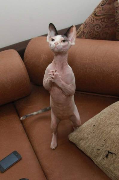 daily picdump 95 pics 12.html - 95 HD Photos | Premium Gallery 2017