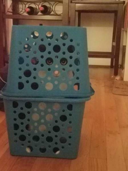 daily picdump 95 pics 12.html - 95 HD Photos | Premium Gallery 2017