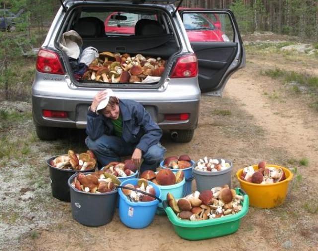 daily picdump 95 pics 12.html - 95 HD Photos | Premium Gallery 2017