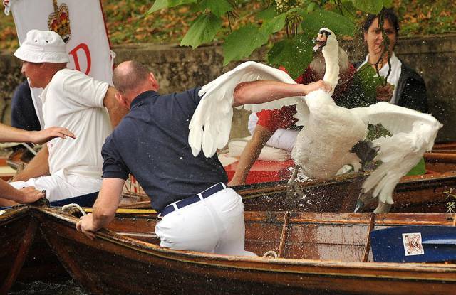 daily picdump 95 pics 12.html - 95 HD Photos | Premium Gallery 2017