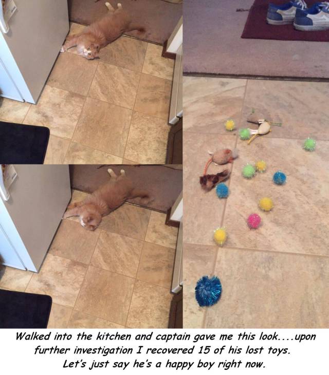 daily picdump 95 pics 12.html - 95 HD Photos | Premium Gallery 2017