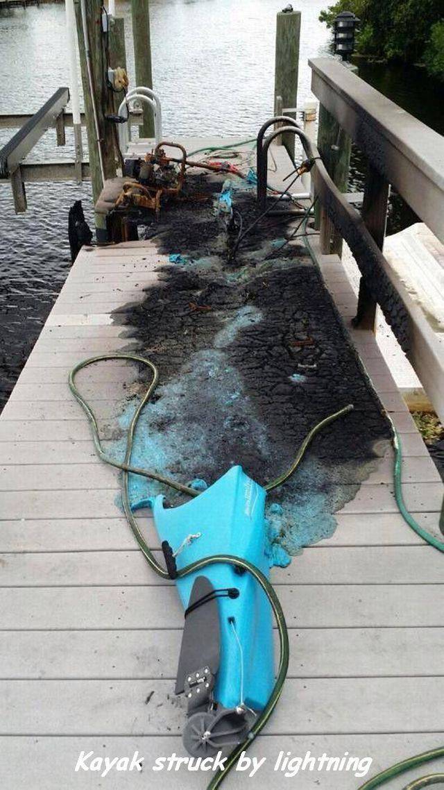 daily picdump 95 pics 12.html - 95 HD Photos | Premium Gallery 2017