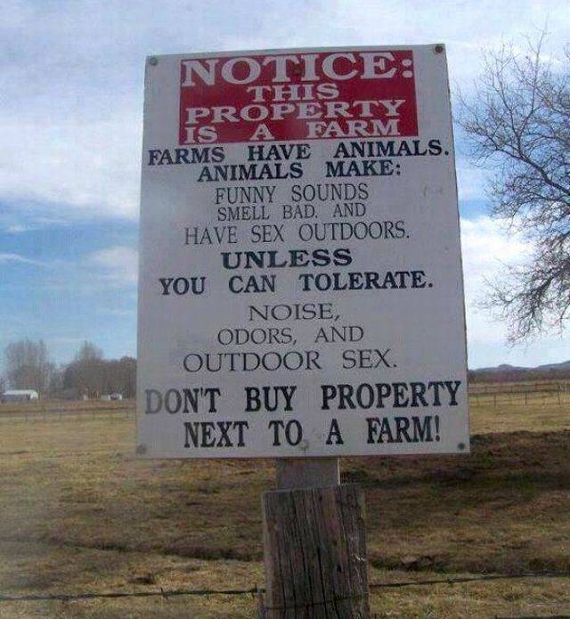 daily picdump 95 pics 12.html - 95 HD Photos | Premium Gallery 2017