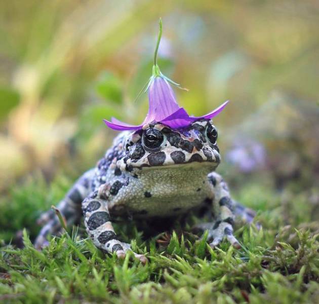 Morning Picdump