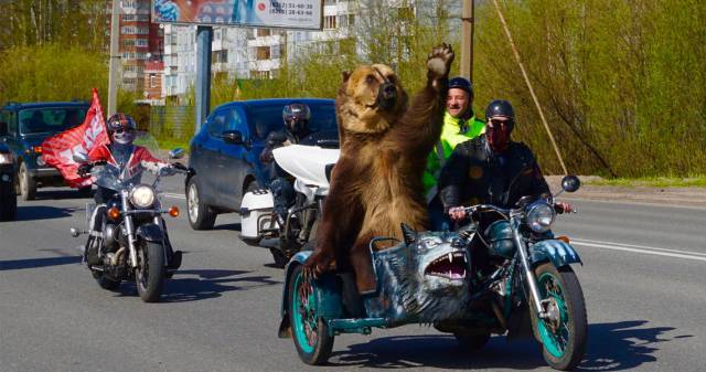 morning picdump 52 pics 12.html - 52 HD Photos | Premium Gallery 2017