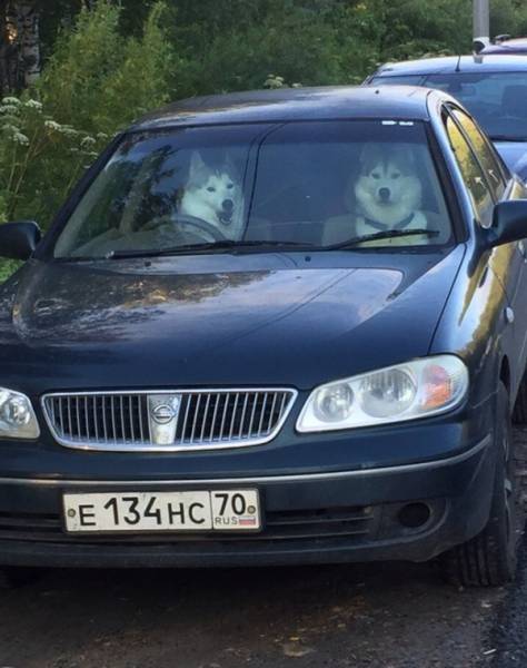 Morning Picdump