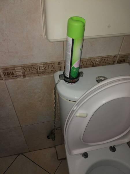 Morning Picdump