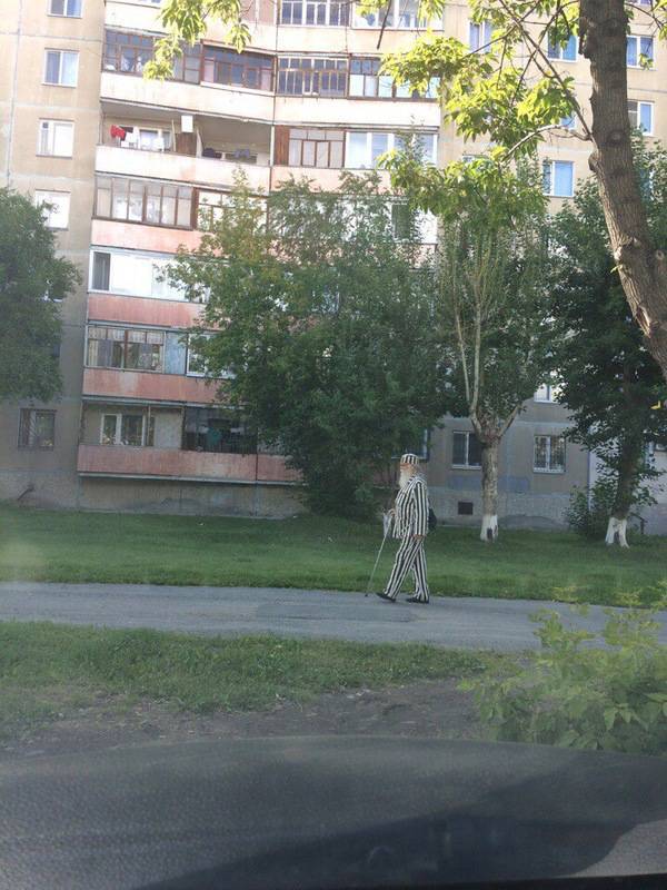 Morning Picdump