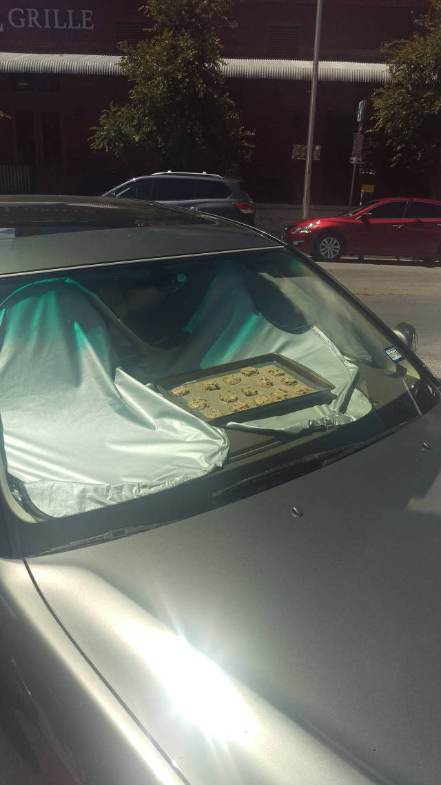 morning picdump 51 pics 14.html - 51 HD Photos | Premium Gallery 2017