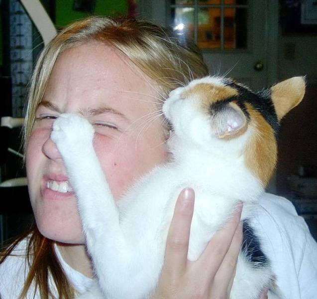 Daily Picdump