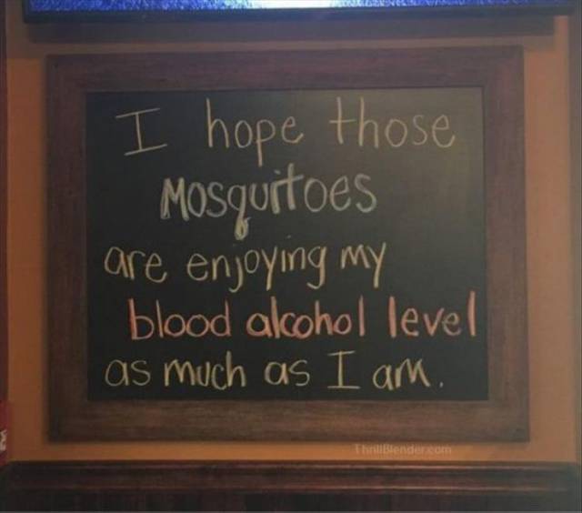 Daily Picdump