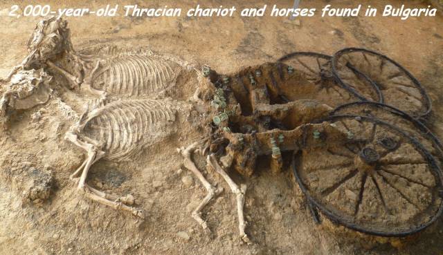 daily picdump 101 pics 2.html - 101 HD Photos | Premium Gallery 2017