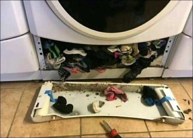 daily picdump 101 pics 2.html - 101 HD Photos | Premium Gallery 2017