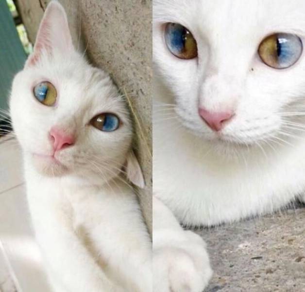 daily picdump 101 pics 2.html - 101 HD Photos | Premium Gallery 2017