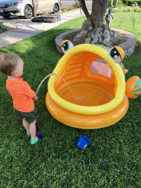 daily picdump 101 pics 2.html - 101 HD Photos | Premium Gallery 2017