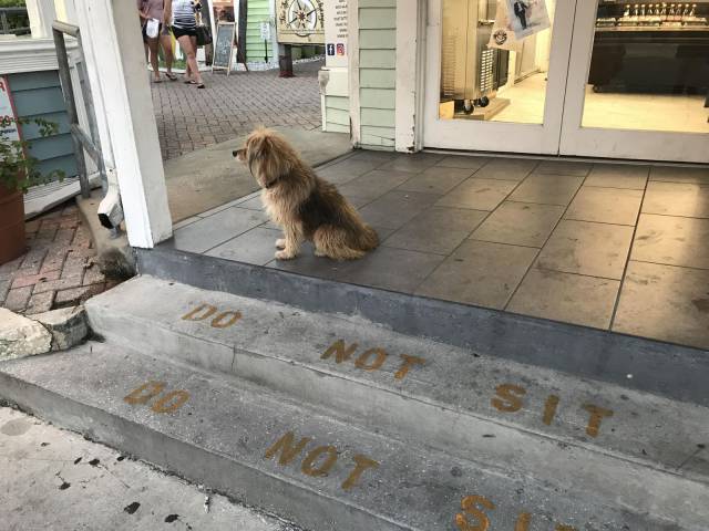 daily picdump 101 pics 2.html - 101 HD Photos | Premium Gallery 2017