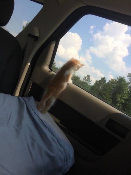 daily picdump 101 pics 2.html - 101 HD Photos | Premium Gallery 2017