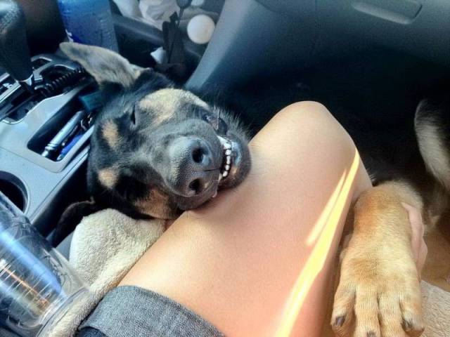 daily picdump 101 pics 2.html - 101 HD Photos | Premium Gallery 2017