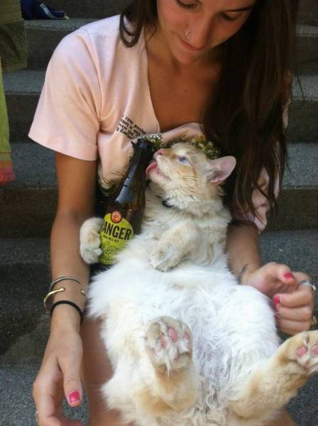 daily picdump 101 pics 2.html - 101 HD Photos | Premium Gallery 2017