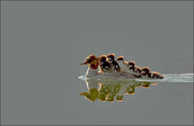 daily picdump 101 pics 2.html - 101 HD Photos | Premium Gallery 2017