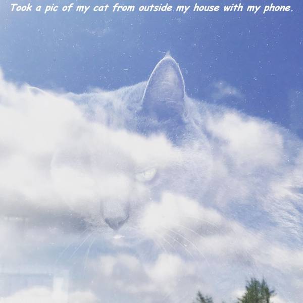 daily picdump 101 pics 2.html - 101 HD Photos | Premium Gallery 2017