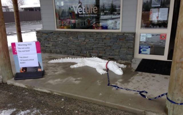 daily picdump 101 pics 2.html - 101 HD Photos | Premium Gallery 2017