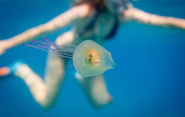 daily picdump 101 pics 2.html - 101 HD Photos | Premium Gallery 2017