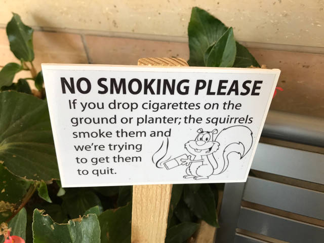 morning picdump 53 pics 22.html - 53 HD Photos | Premium Gallery 2017